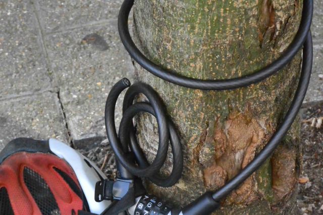 End of the Bike Trip