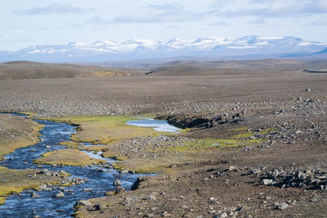 First Green in 100 km